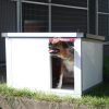 INFRA HEATED Thermo-RENATO dog house "XS" insize