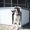 INFRA HEATED Thermo-RENATO dog house "S" insize