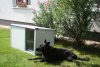 Thermo Renato dog house "M" insize