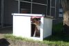 Thermo Renato dog house "4XL" insize