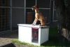 Thermo Renato dog house "M" insize