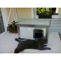 Insulated cat house